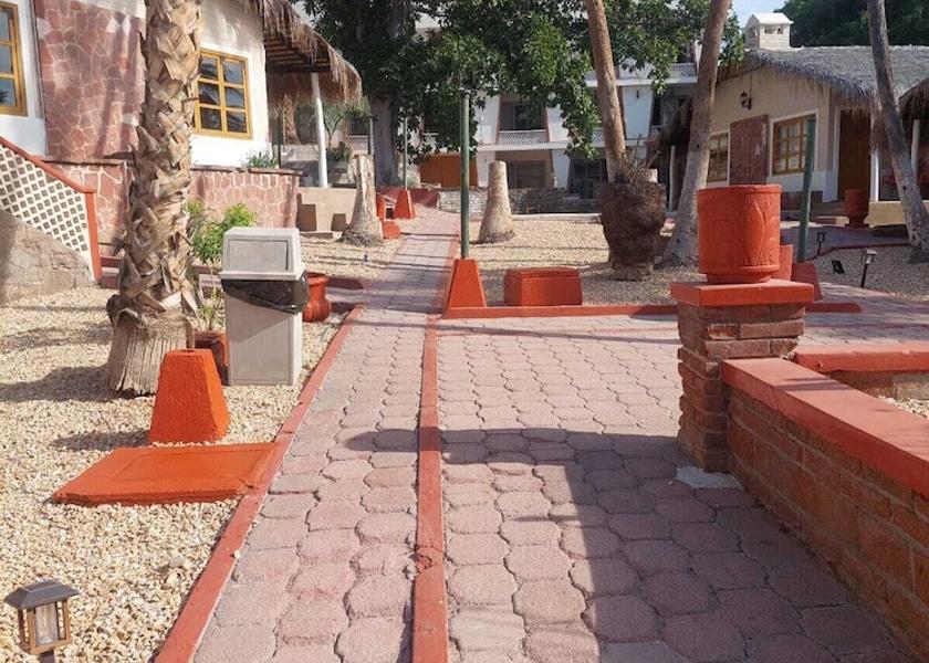 Baja California Sur La Paz Garden