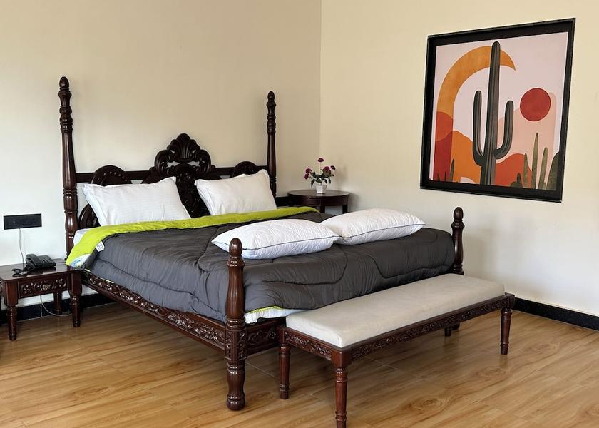 Rajasthan Udaipur Room