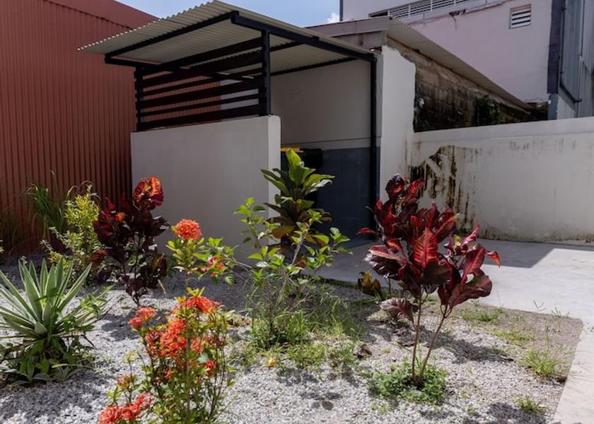 Arrondissement of Cayenne Cayenne Garden