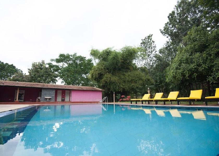 Karnataka Bandipur Pool