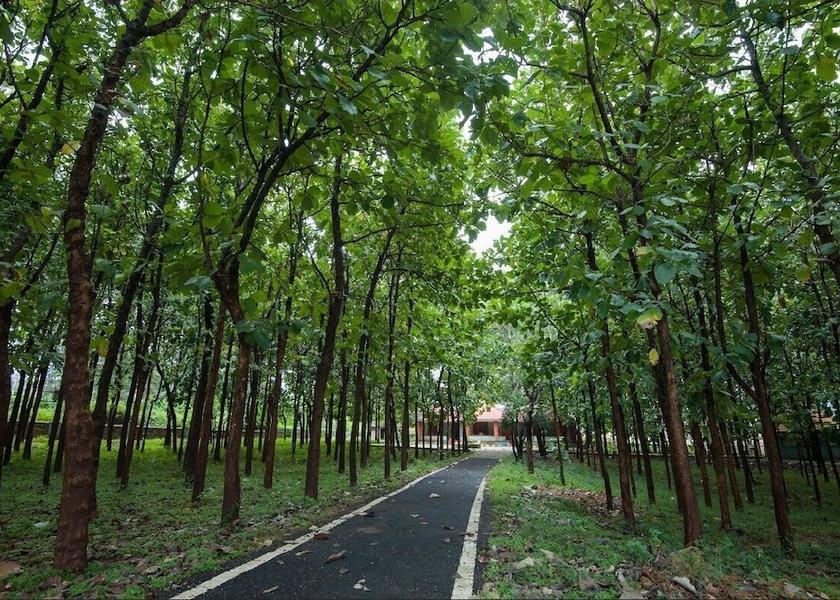 Karnataka Bandipur Primary image