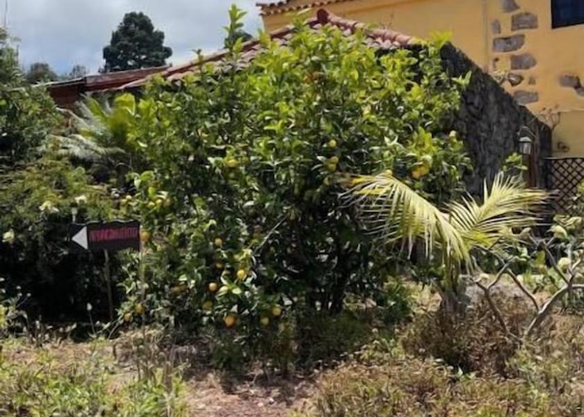 Canary Islands Icod de los Vinos Property grounds
