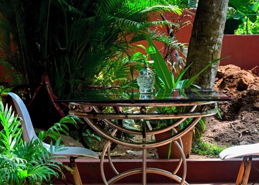 Kerala Kovalam Terrace/patio