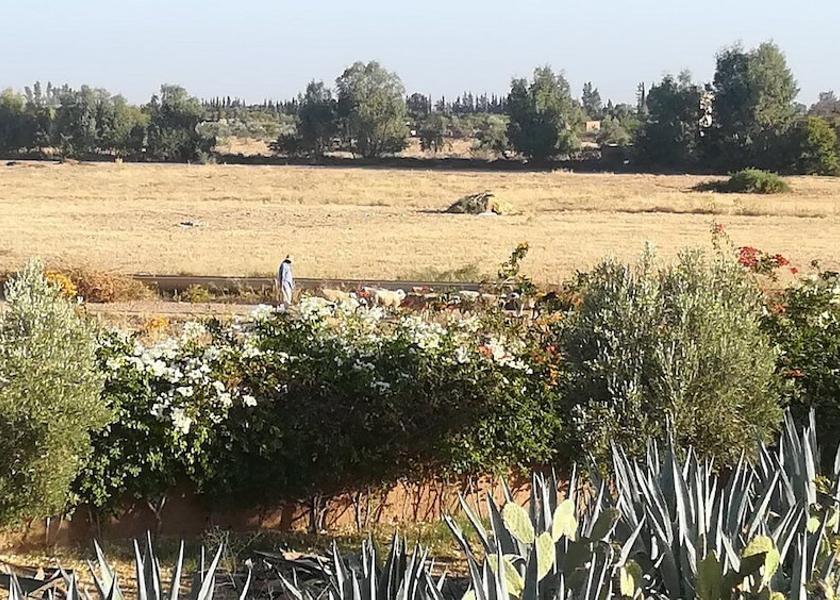 Marrakech-Safi Sidi Abdallah Ghiat Exterior