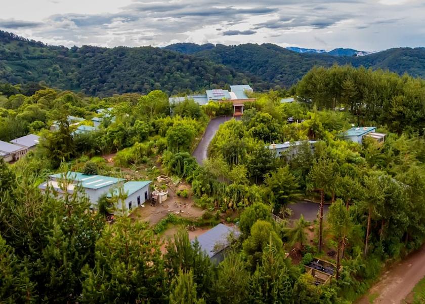 Western Region Bwindi Aerial view