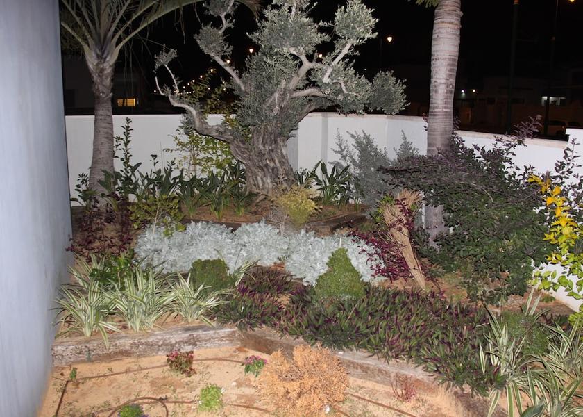 Southern Ashkelon Garden view