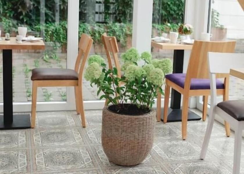Thuringia Heilbad Heiligenstadt Dining