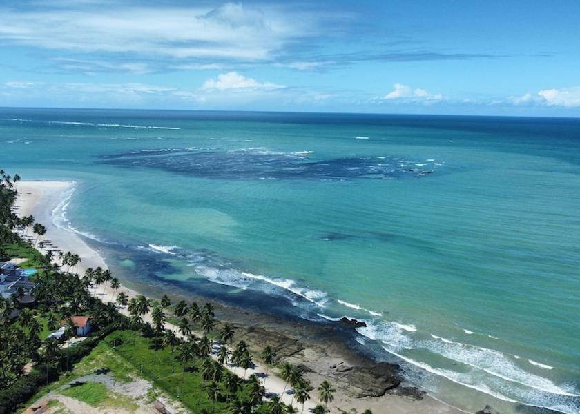Pernambuco Tamandaré Beach