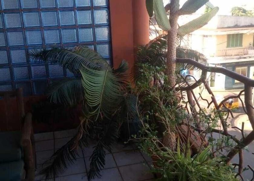 Diana Antsiranana Terrace/patio