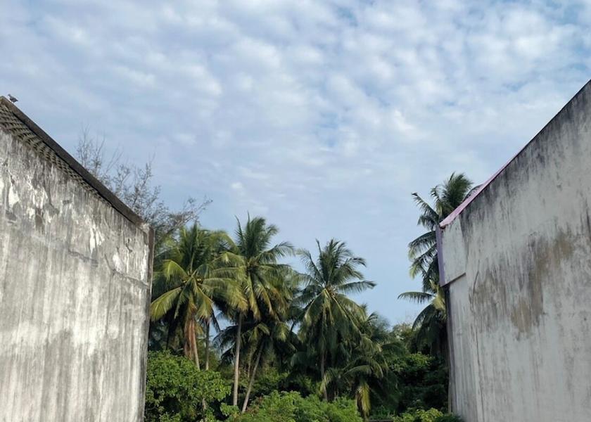 Chumphon Province Pathio Miscellaneous