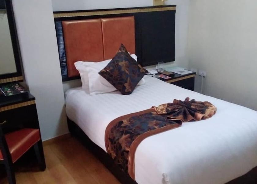 Addis Ababa Addis Ababa Room