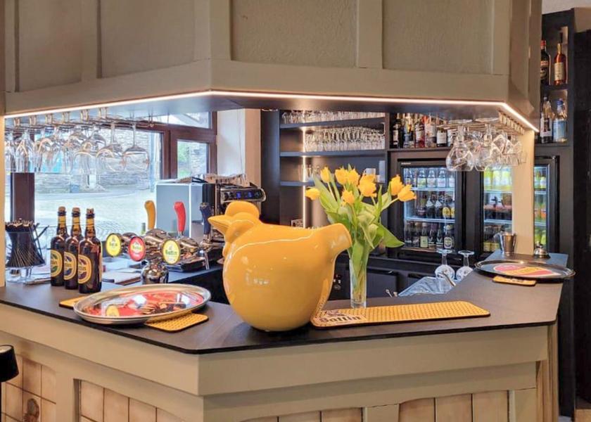 Walloon Region Vresse-sur-Semois Bar (on property)
