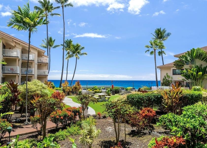 Hawaii Kailua-Kona Property grounds