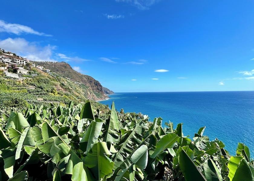 Madeira Region Calheta Exterior