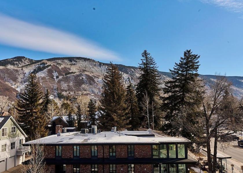 Colorado Aspen Street view