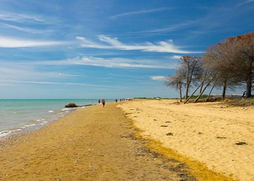 Veneto San Michele al Tagliamento Surrounding environment