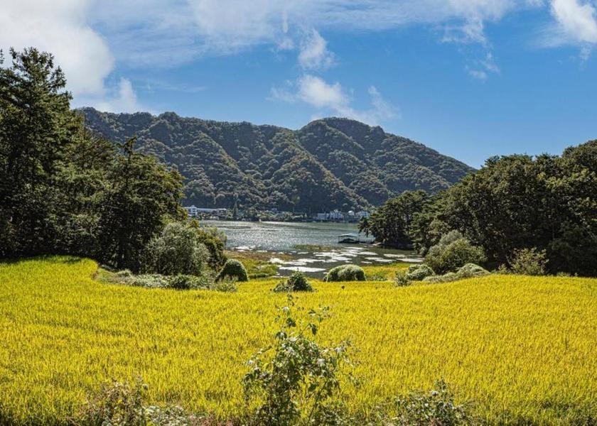 Gyeonggi Gapyeong 