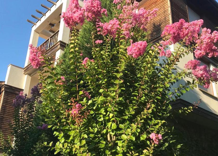 Burgas Sozopol 