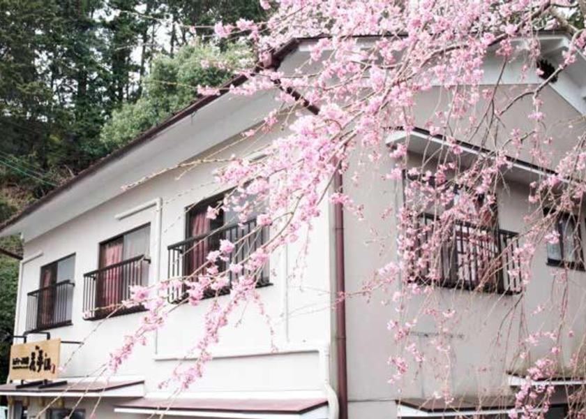 Nara Yoshino 