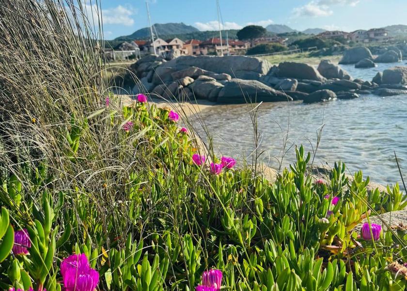 Sardinia Golfo Aranci 