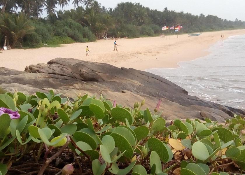 Southern Province Induruwa Surrounding environment