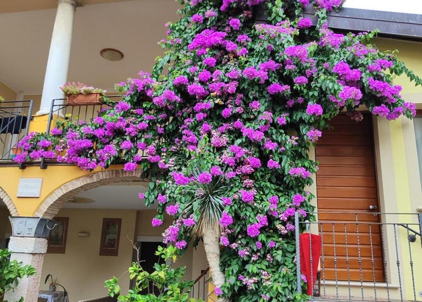 Lombardy Moniga del Garda 
