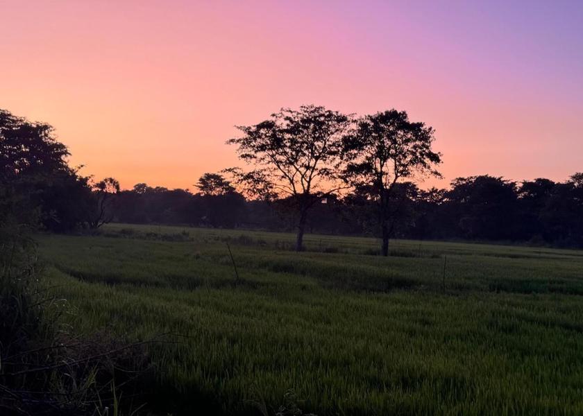 Central Province Sigiriya 