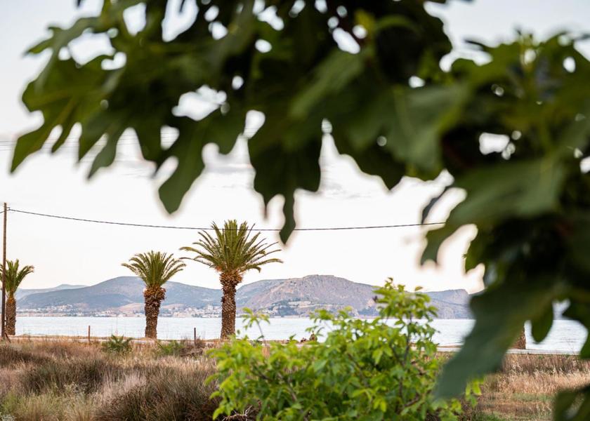 Peloponnese Region Argos-Mykines 