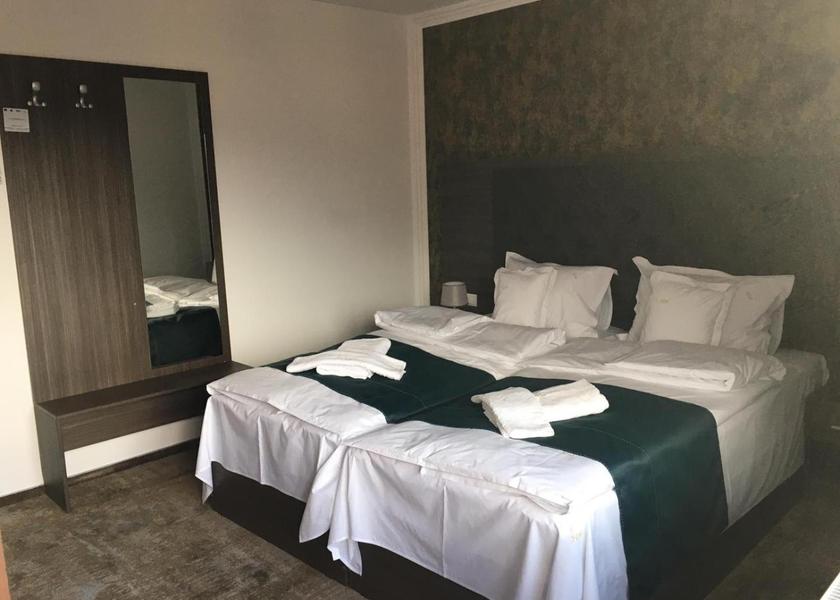 Prahova County Busteni Twin Room with Balcony