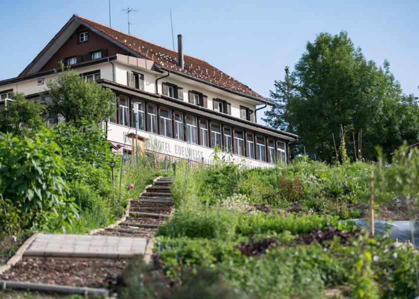 Canton of Lucerne Weggis Surrounding environment