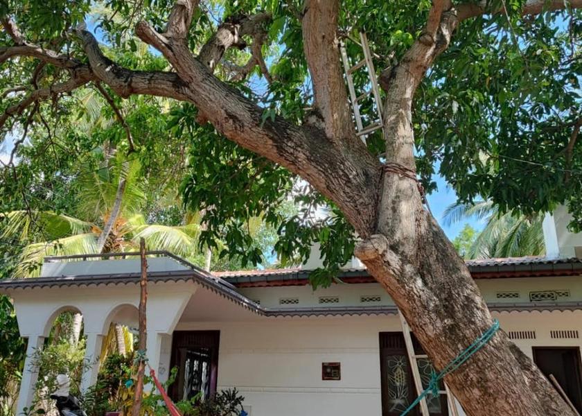 Eastern Province Trincomalee 