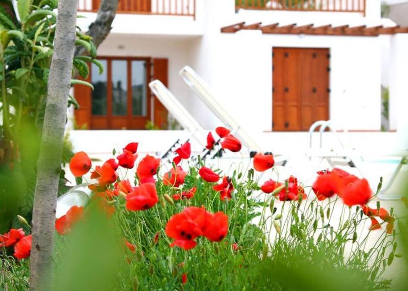 Thessaly Skopelos Exterior view