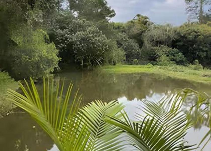 São Paulo State Atibaia 