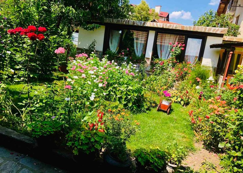 Blagoevgrad Province Bansko Garden