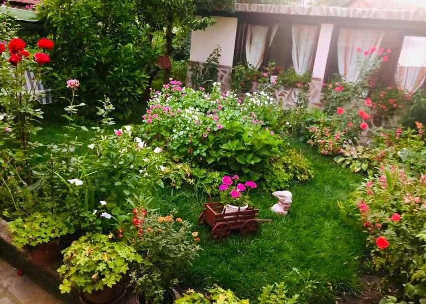 Blagoevgrad Province Bansko Garden
