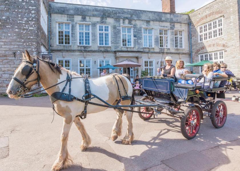 England Paignton Attractions