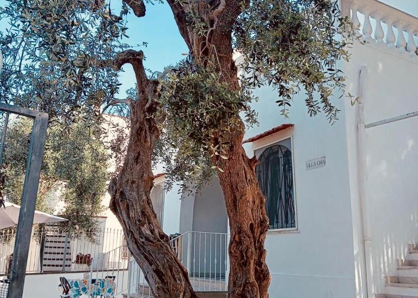 Puglia Peschici Hotel Exterior
