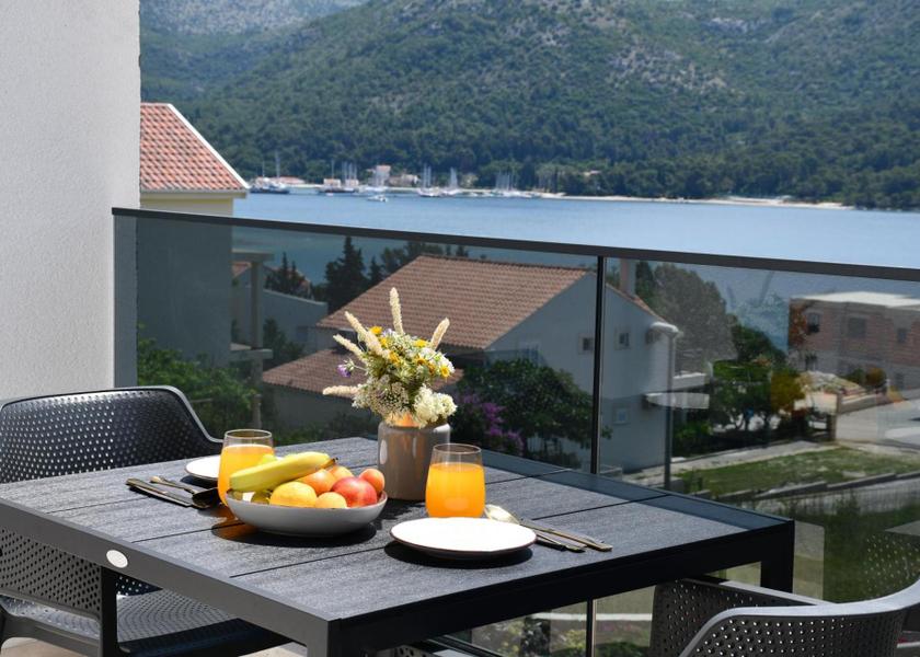 Dubrovnik-Neretva Dubrovacko Primorje Studio with Sea View