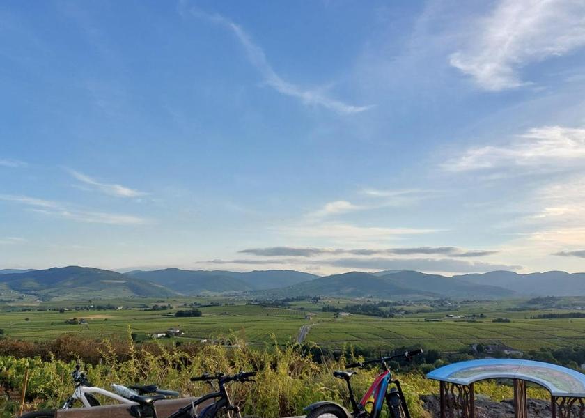 Auvergne-Rhône-Alpes Villie-Morgon 