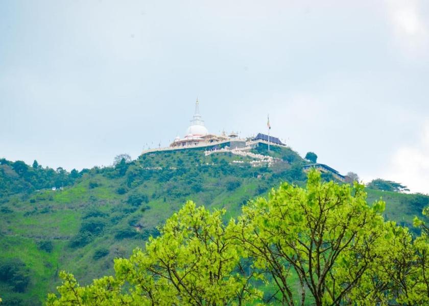 Uva Province Ella 