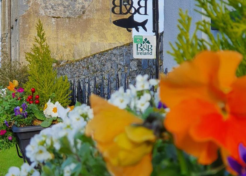 County Offaly Birr 