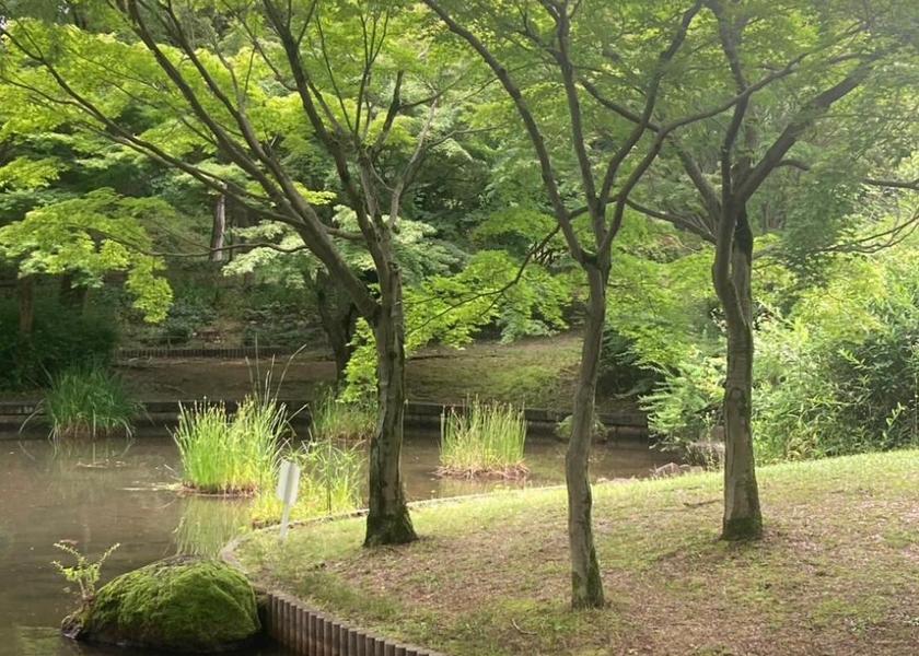 Osaka Toyonaka 