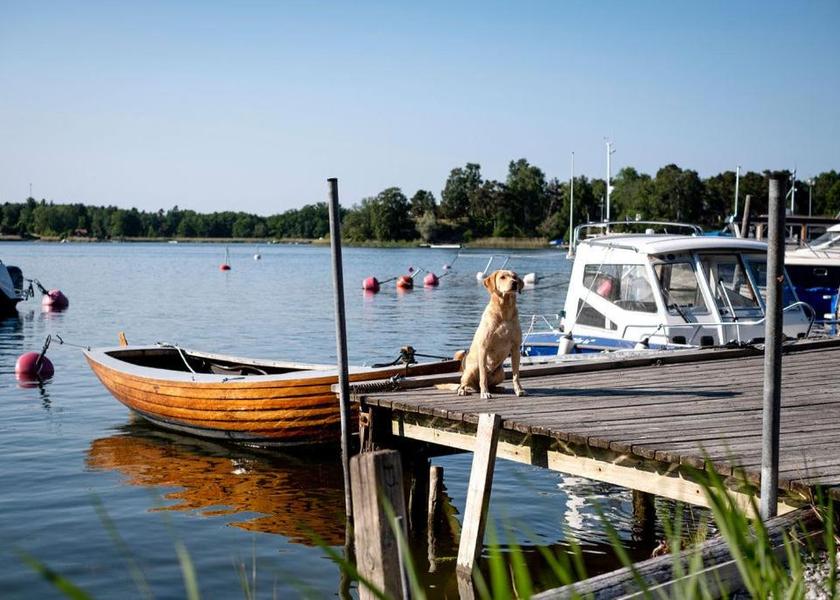 Stockholm County Vaxholm Surrounding environment