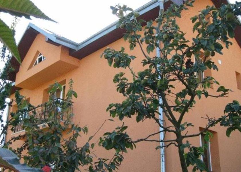 Suceava County Suceava 