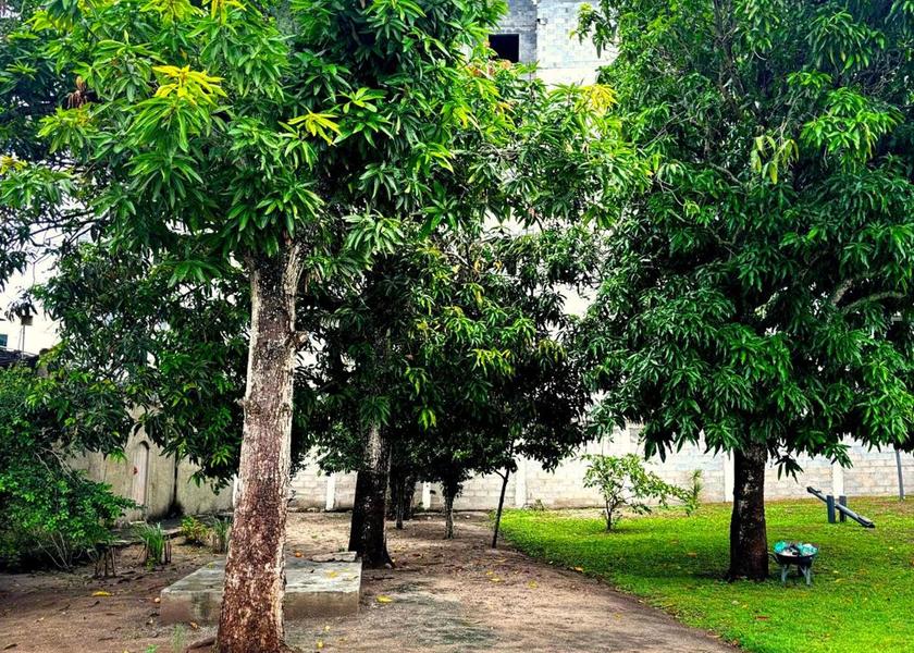 Rio de Janeiro State Sao Pedro da Aldeia 