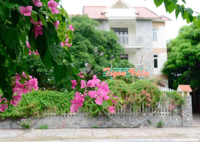 Thanh Hóa Province Hoang Hoa 