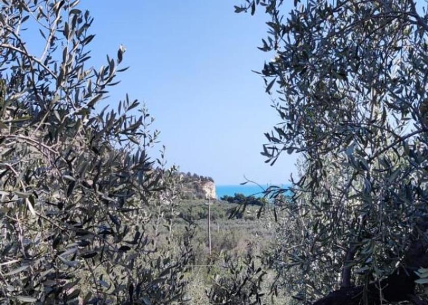 Puglia Mattinata Exterior view