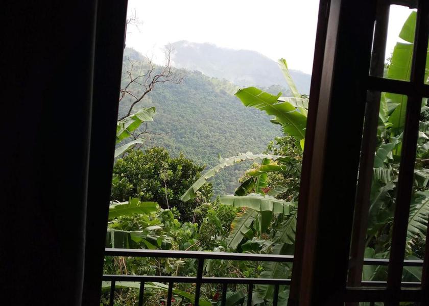 Uva Province Ella 