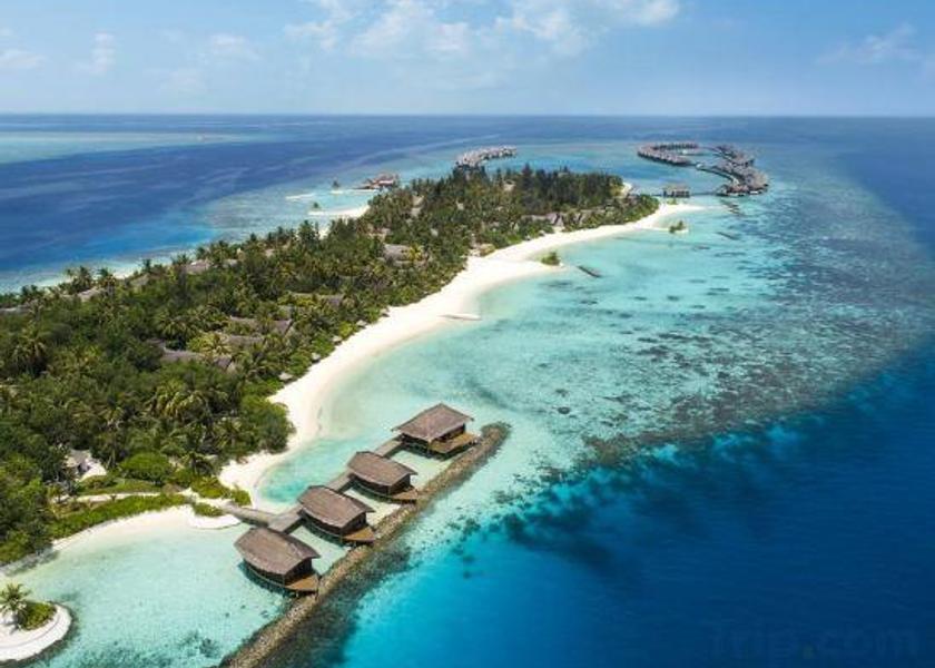 Kaafu Atoll Bolifushi Island 