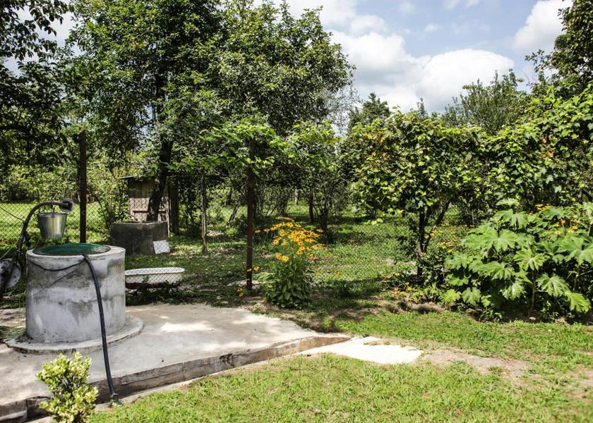 Samegrelo-Zemo Svaneti Zugdidi Garden